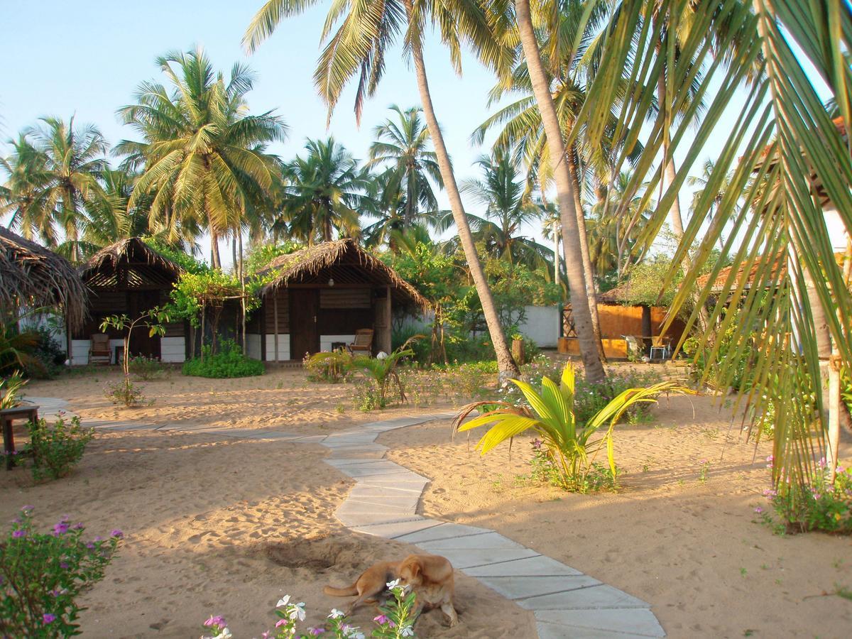 Stardust Beach Hotel Vịnh Arugam Ngoại thất bức ảnh